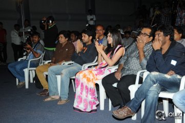 Heart Attack Audio Success Meet